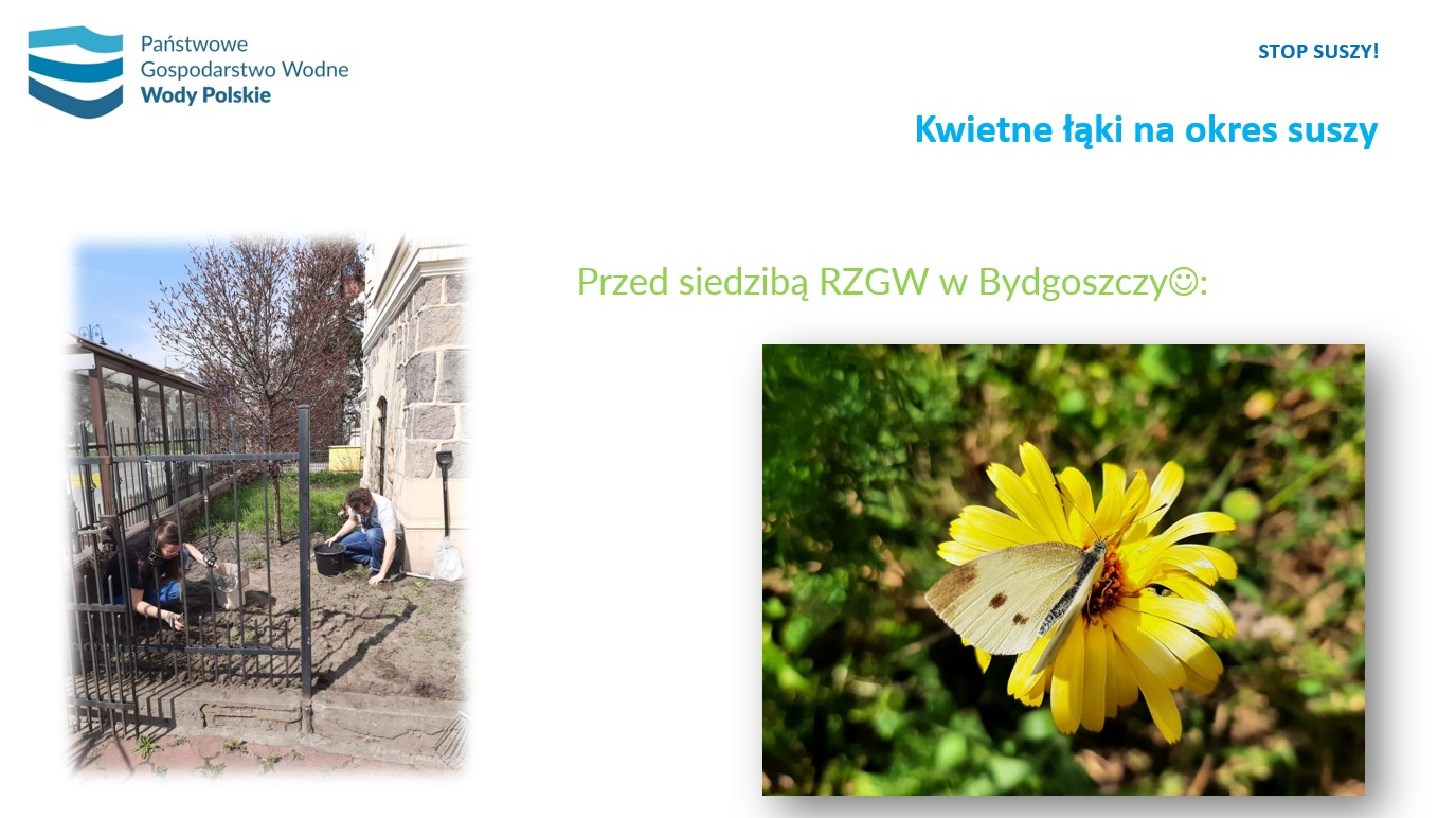 Prezentacja18.05